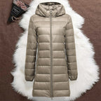 LONG-TERM TRANSITION JACKET | SPARKLING WINE